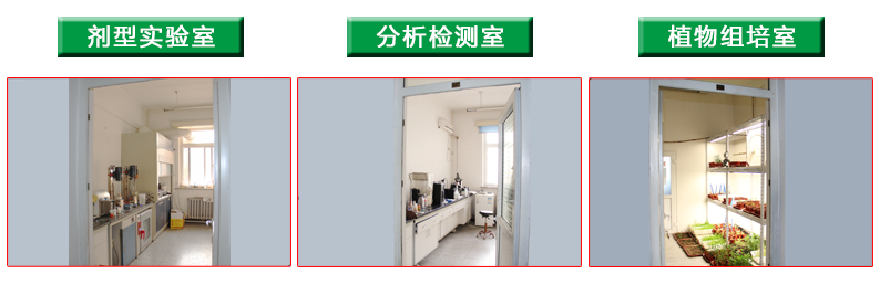 實驗室（組合圖）.png