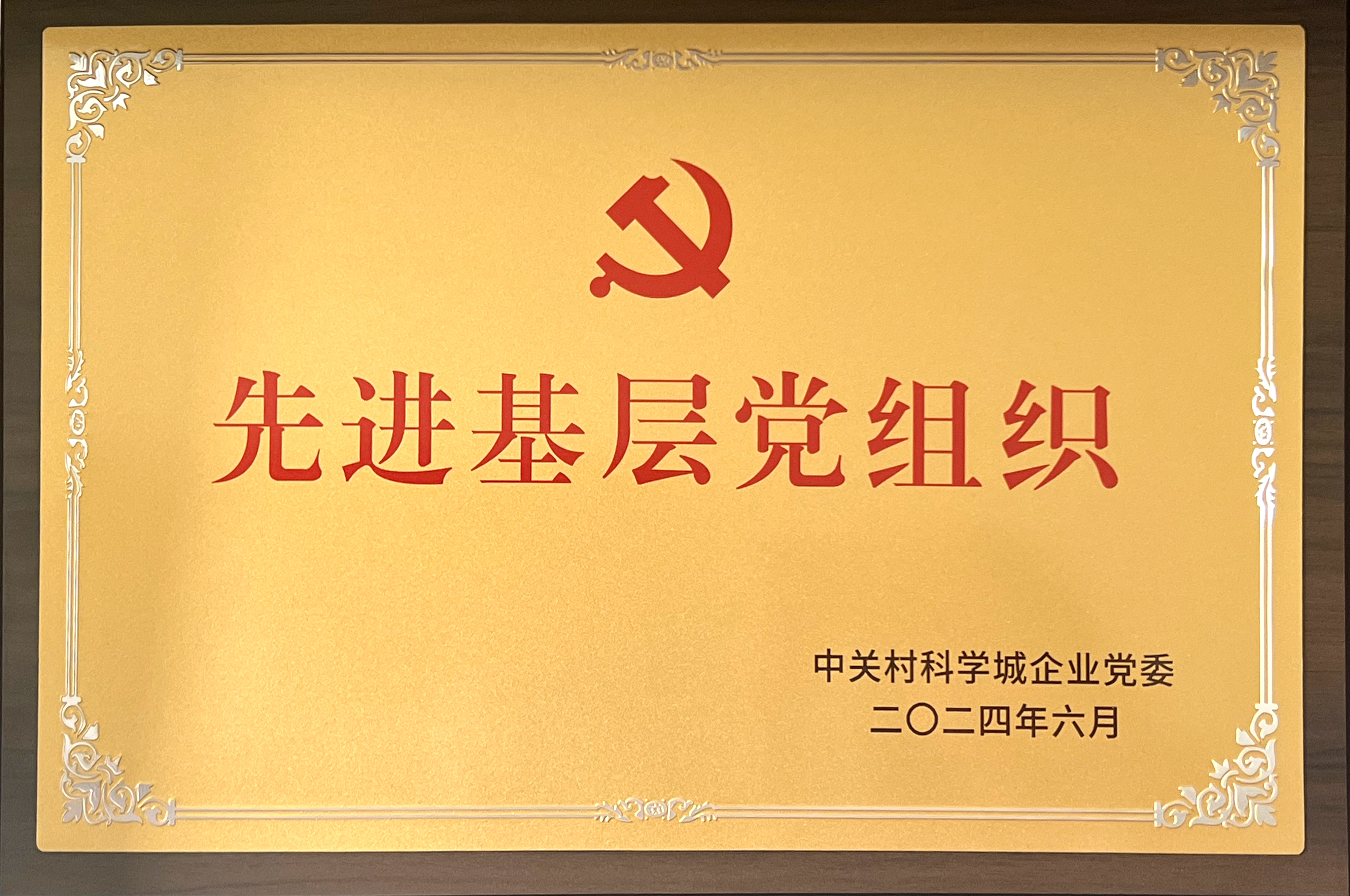 先進(jìn)基層黨組織.jpg